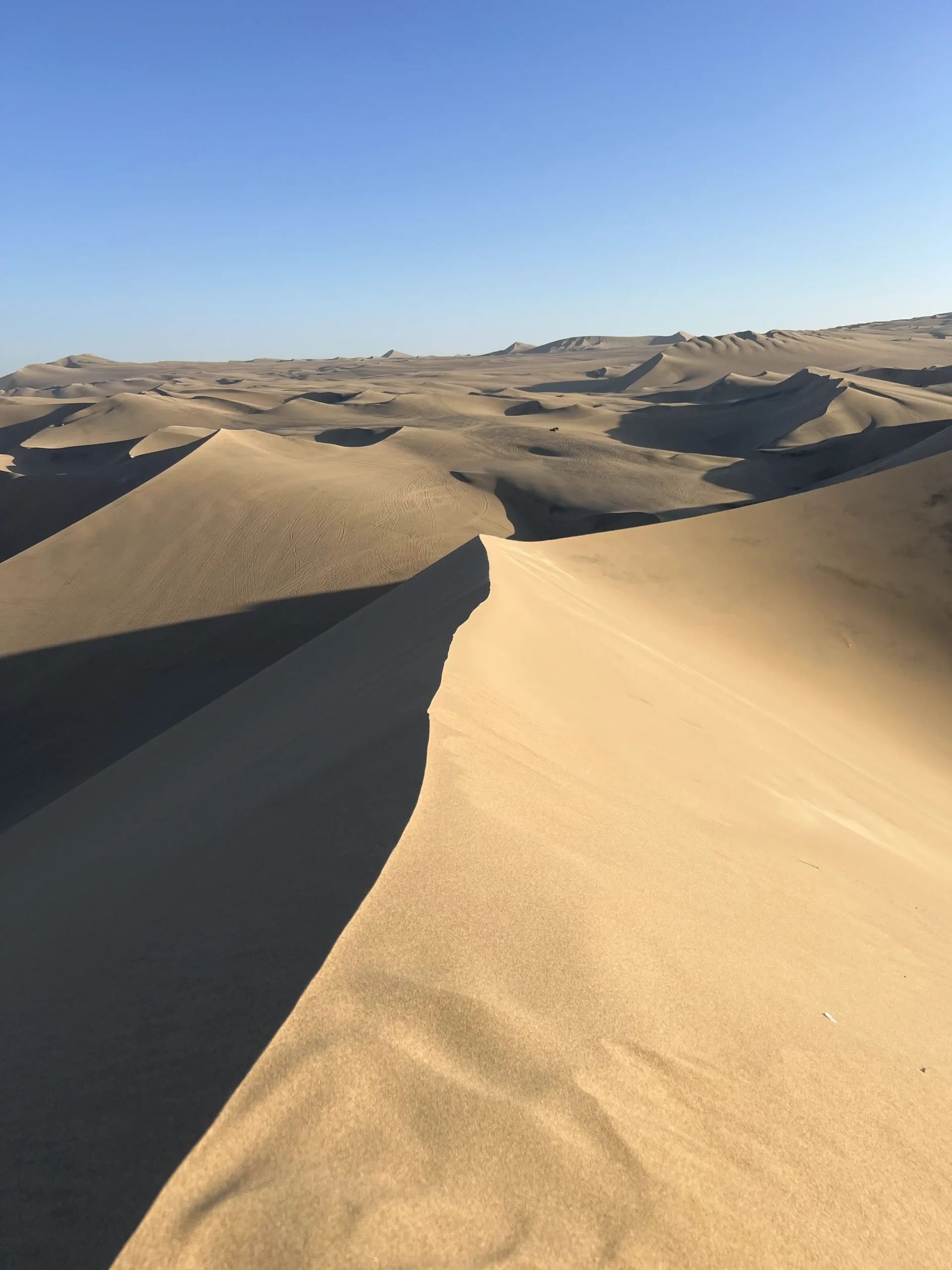 Que faire à Huacachina ?